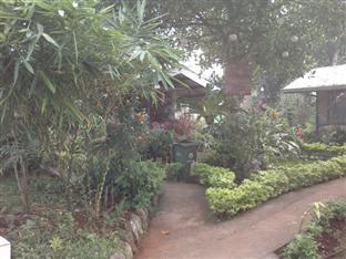 Ej Pension House PALAWAN Exterior photo